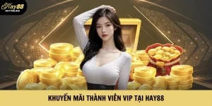 Khuyến Mãi Thành Viên VIP Tại Hay88
