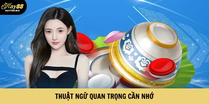 Thuật ngữ quan trọng cần nhớ